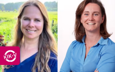 Van registreren naar inzicht: de meerwaarde van de datasteward